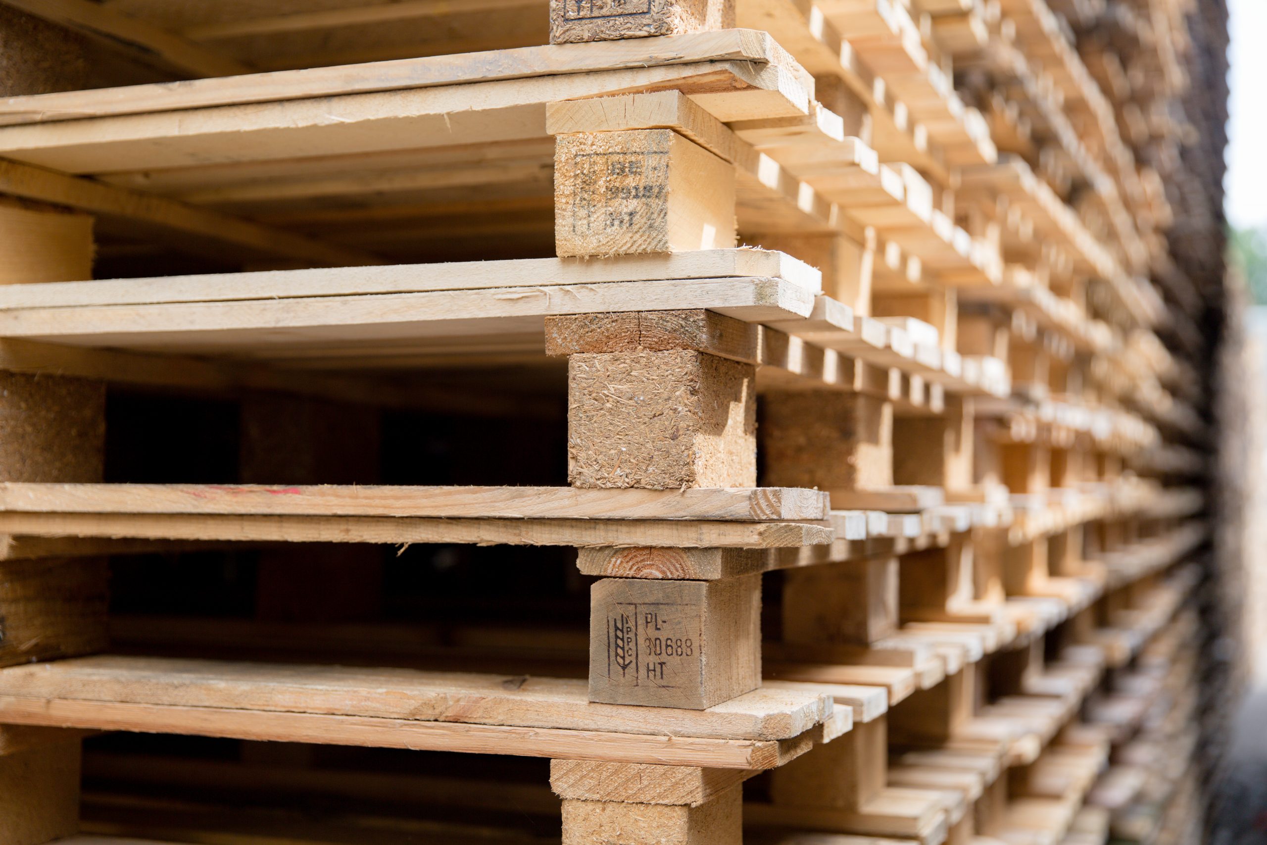 Pallet-119
